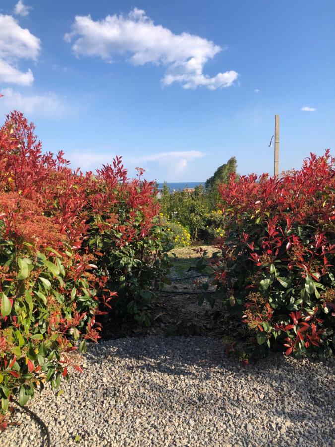 Agriturismo Azzurra Biricchina Riva Ligure Kültér fotó