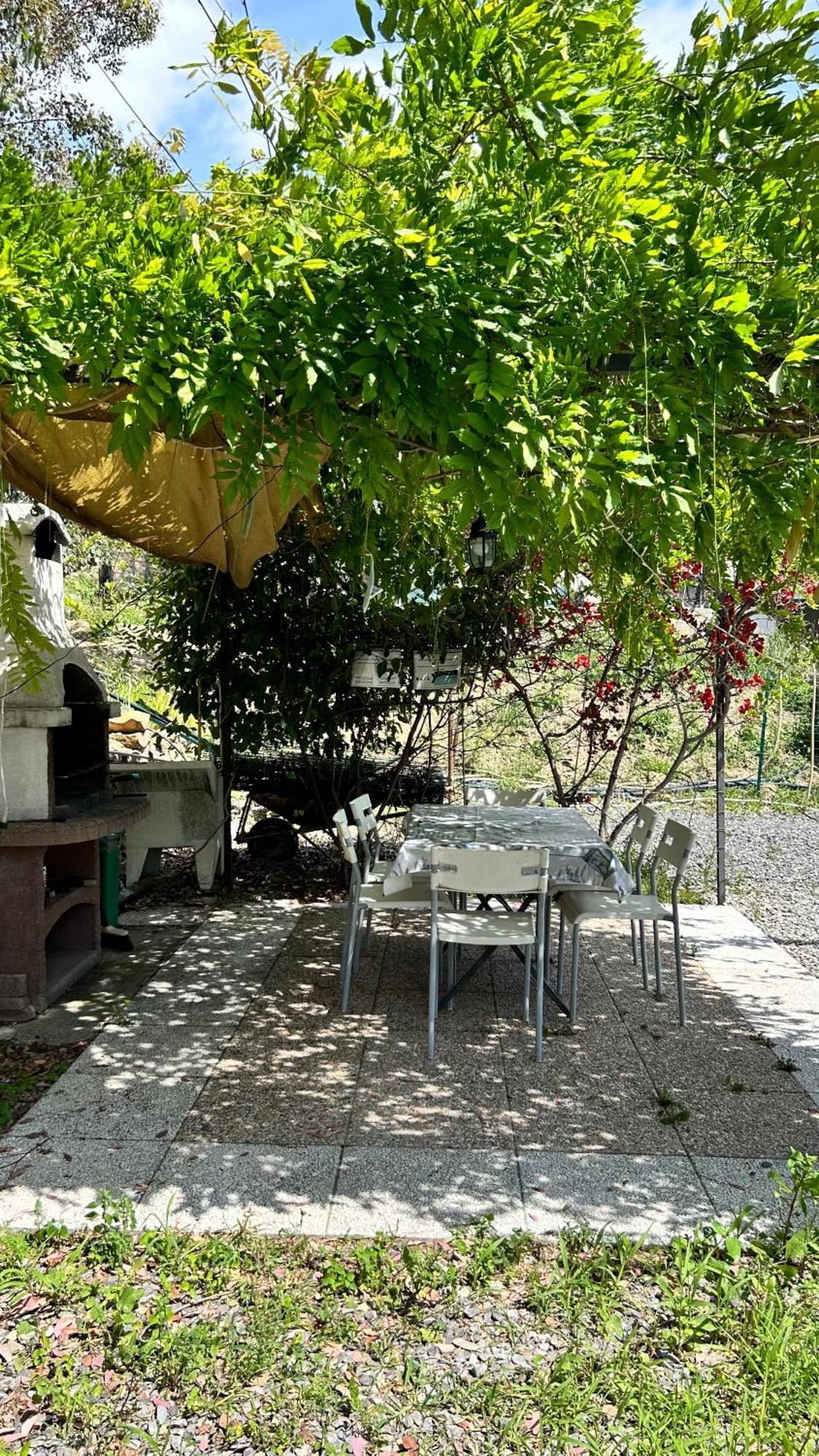 Agriturismo Azzurra Biricchina Riva Ligure Kültér fotó